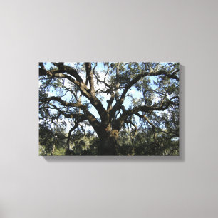 Toile Grand arbre