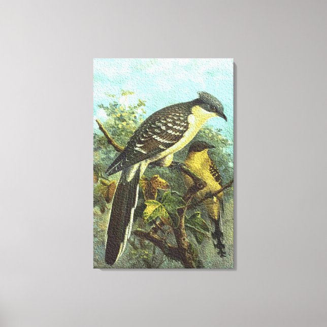Toile Grand Cucko Birds Canvas Imprimer (Recto)