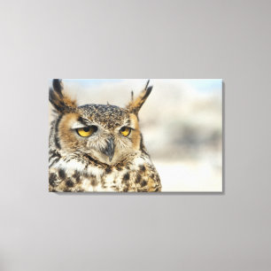 Toile Grand hibou à cornes (virginianus de Bubo), capti
