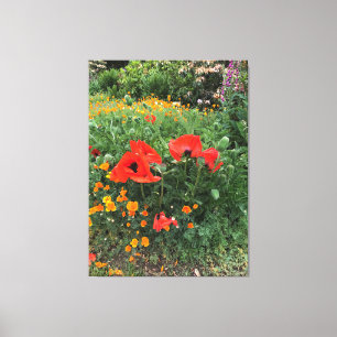 Toile Grand pavot rouge dans un jardin anglais