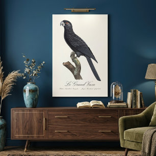 Toile Grand Vaza / Grand Perroquet Vasa