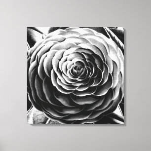 Toile Grande Camellia, noire, blanche et grise / gris
