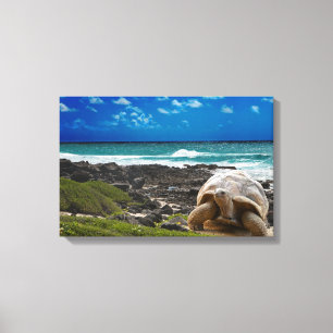 Toile Grande tortue au bord de mer
