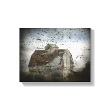 Grange et oiseaux