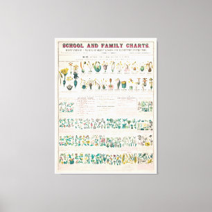 Toile Graphique botanique vintage : Classification des P