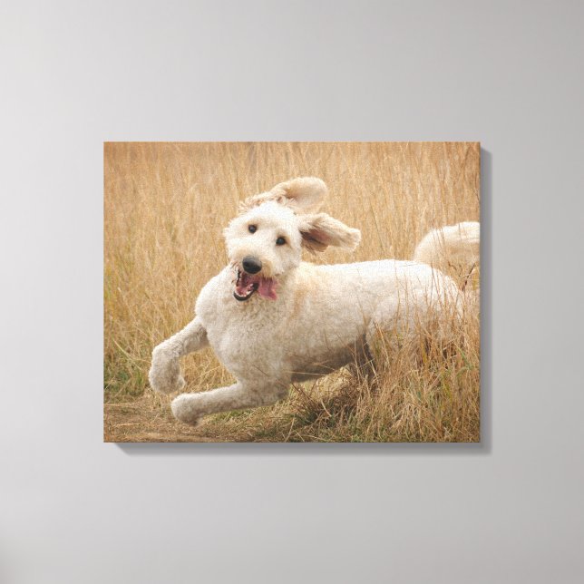 Toile Grass de Runs (Recto)