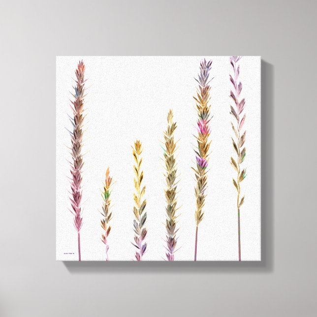 Toile Grasses colorées (Recto)