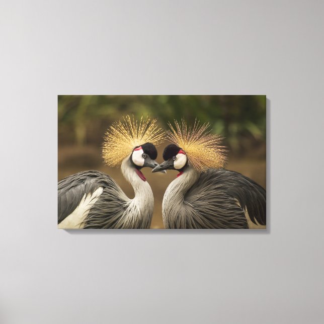 Toile Gray Crowne Crane couple d'oiseaux (Recto)