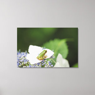 Toile Grenouille d'arbre se reposant sur un hortensia,