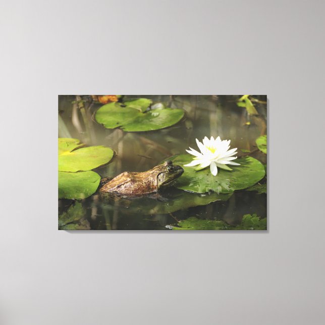 Toile Grenouille taureau en Lily Pond (Recto)