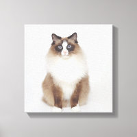 Gros chat Furry