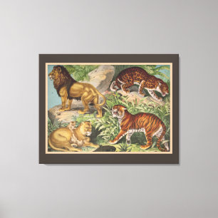 Toile Gros Lions Chat Tigres, léopards, Animaux Imprimer