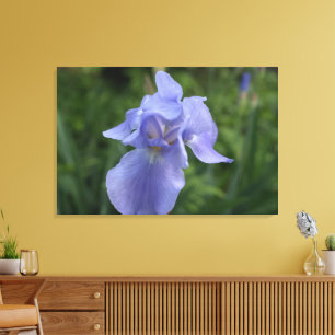 Toile Gros Plan De Fleur Iris Violet