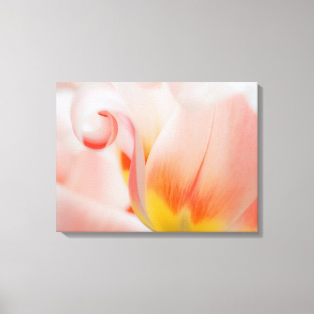 Toile Gros plan de la tulipe 3 (Recto)