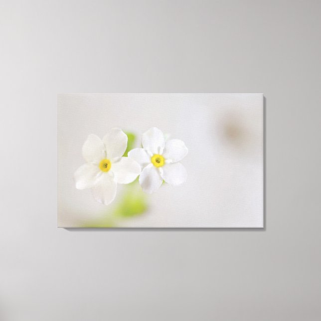 Toile Gros plan des fleurs 2 (Recto)