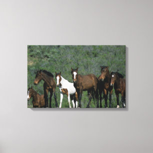 Toile Groupe de chevaux sauvages de mustang