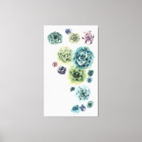 Groupe de succulents