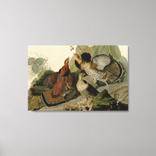 Toile Grouse rouffé - d'Audubon's Birds of America