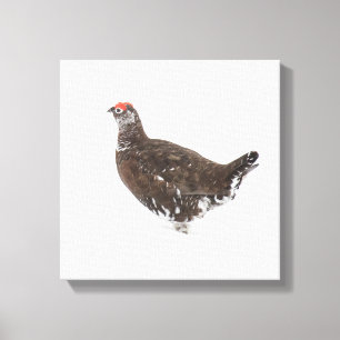 Toile Grouse rouge