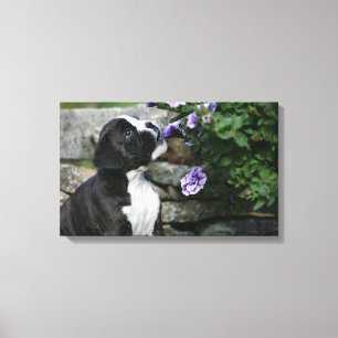 Toile Halètement de chien de boxeur