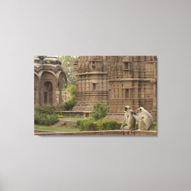 Toile Hanuman Langurs ou noir, commun ou gris (Recto)