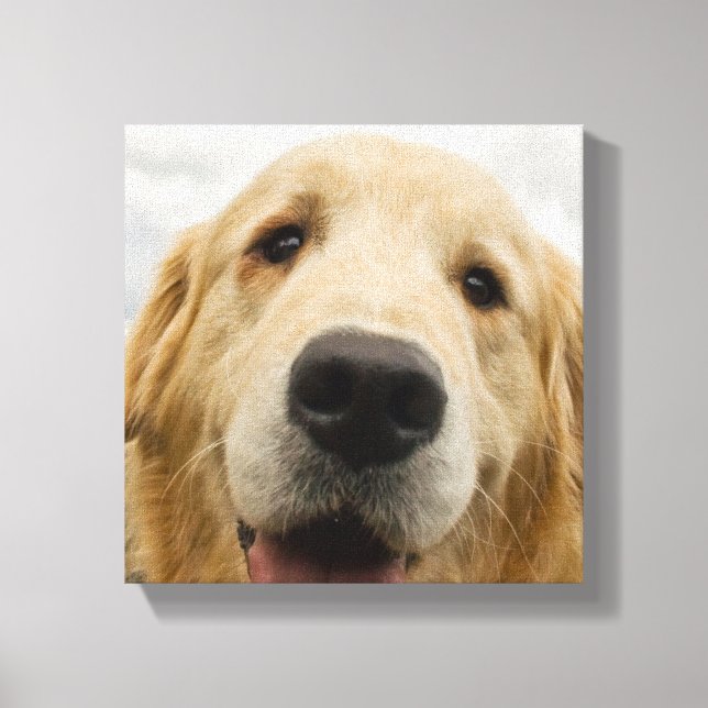Toile Happy Golden Retriever (Recto)