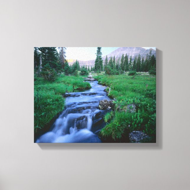 Toile HAUTE SAUVAGE DE L'UINTAS, UTAH. Fourche d'eau dou (Recto)