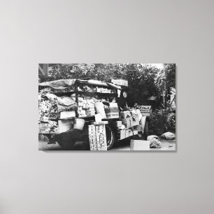 Toile Hawaii - Vue d'un Wagon végétal autochtone