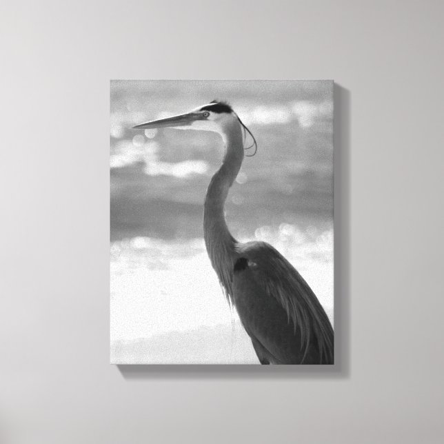 Toile Heron noir et blanc sur la plage 11x14 (Recto)