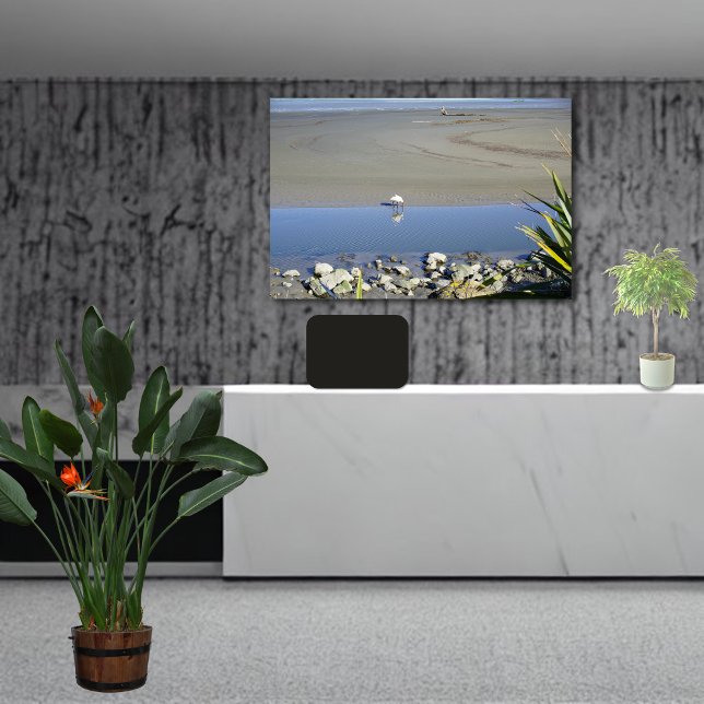 Toile Heure d'alimentation pour la spatule royale (Créateur téléchargé)