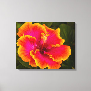 Toile Hibiscus de Fuchsia hawaïenne, photo Kauai