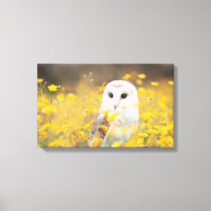 Toile Hibou de grange dans le domaine de fleur jaune