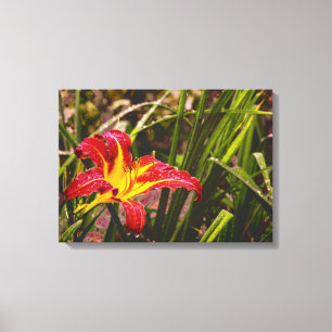 Toile Hier Lily Après La Pluie