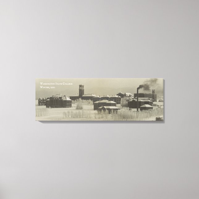 Toile Historic Washington State College (WSU) (Recto)