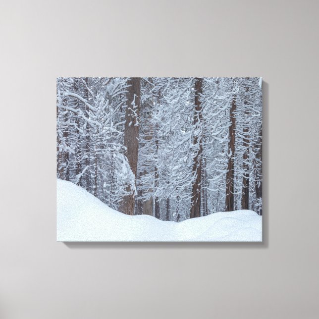 Toile Hiver (Recto)
