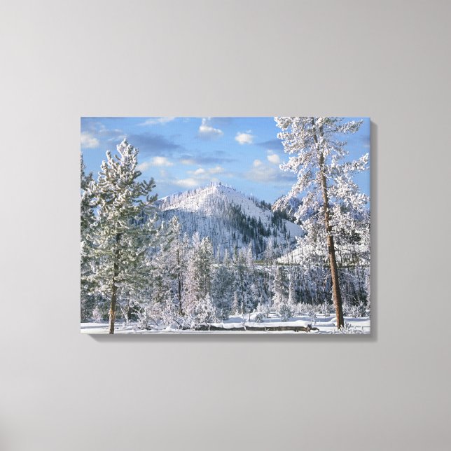 Toile Hiver dans le parc national de Yellowstone, Wyomin (Recto)