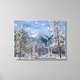 Toile Hiver dans le parc national de Yellowstone, Wyomin