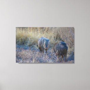 Toile Hog Wild