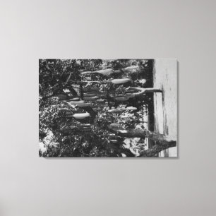 Toile Honolulu, HI - Université d'Hawaii