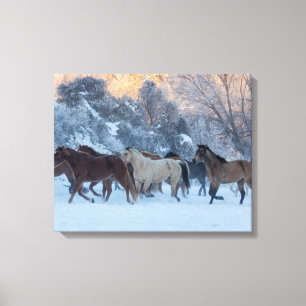 Toile Horse Drive in Winter on Hideout Ranch
