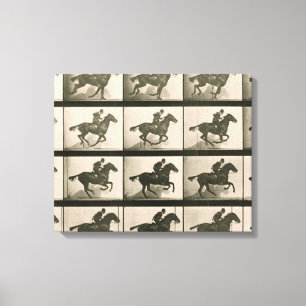 Toile Horse Motion Photographie Vintage