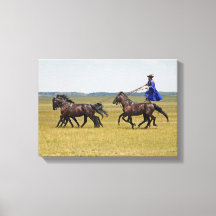Horseman hongrois et chevaux