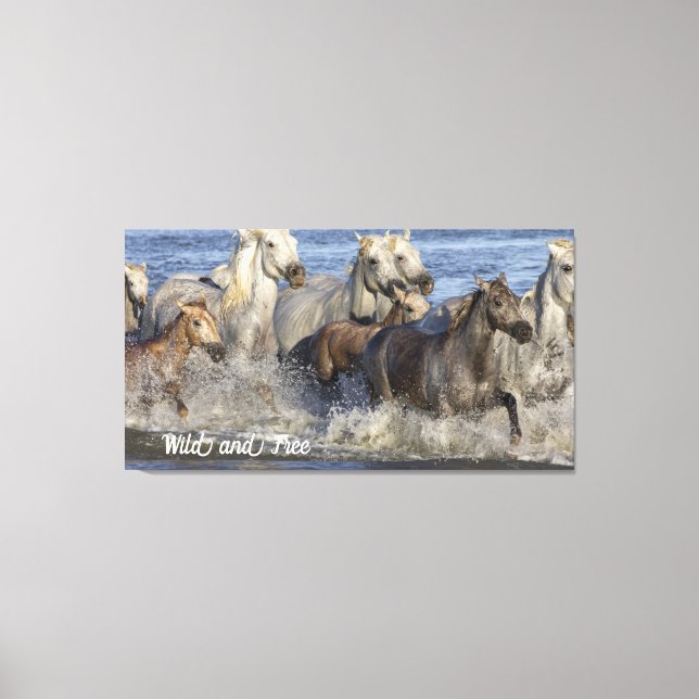 Toile Horses galloping in the water (Recto)