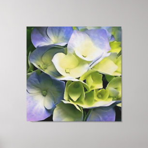 Toile Hortensia Blossom Art Botanique Bleu Et Jaune