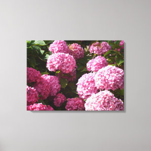 Toile Hortensias roses
