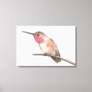 Toile Hummingbird watercolor