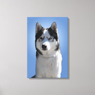 Toile Husky Impression étirée Chien Husky Malamute