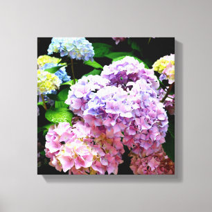 Toile Hydrangea garden, rose, bleu, purple floral