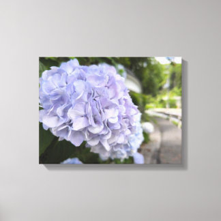 Toile Hydrangeas au bord de la route – Photographie de n