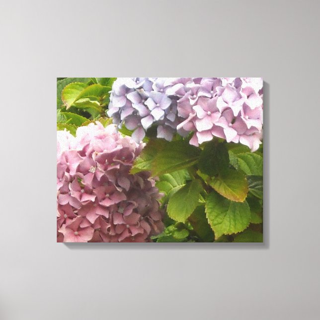 Toile Hydrangeas pastel (Recto)